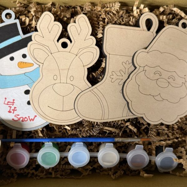 DIY Kids Craft Christmas Ornament Kit